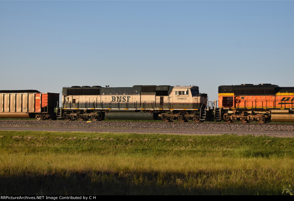 BNSF 9803